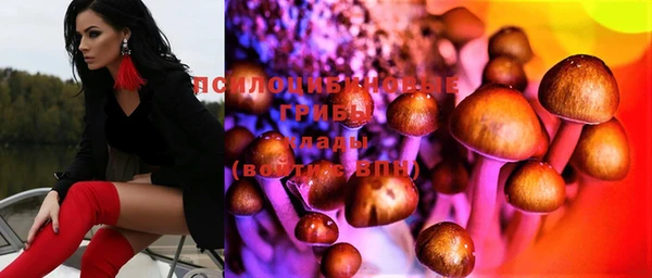 дмт Алзамай