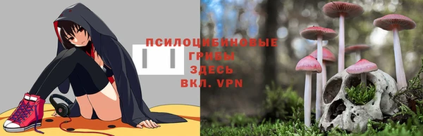 дмт Алзамай