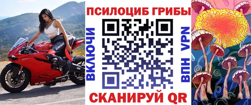 гидра ссылка  что такое   Алексеевка  Галлюциногенные грибы мухоморы 