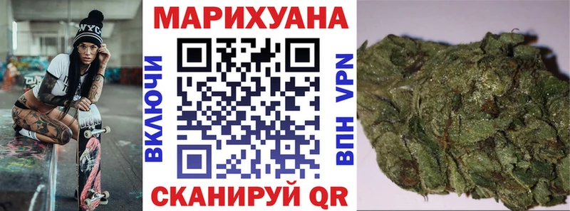 Конопля гибрид Алексеевка